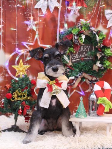 20231228音ちゃん